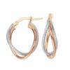 FANCY GOLD HOOPS