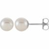 Pearl Studs