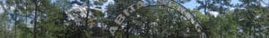Town of Abita Springs